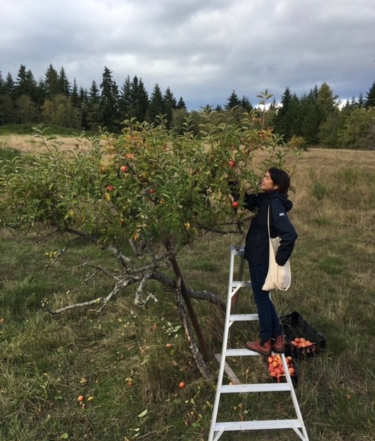 Khirsty picking apples.jpg